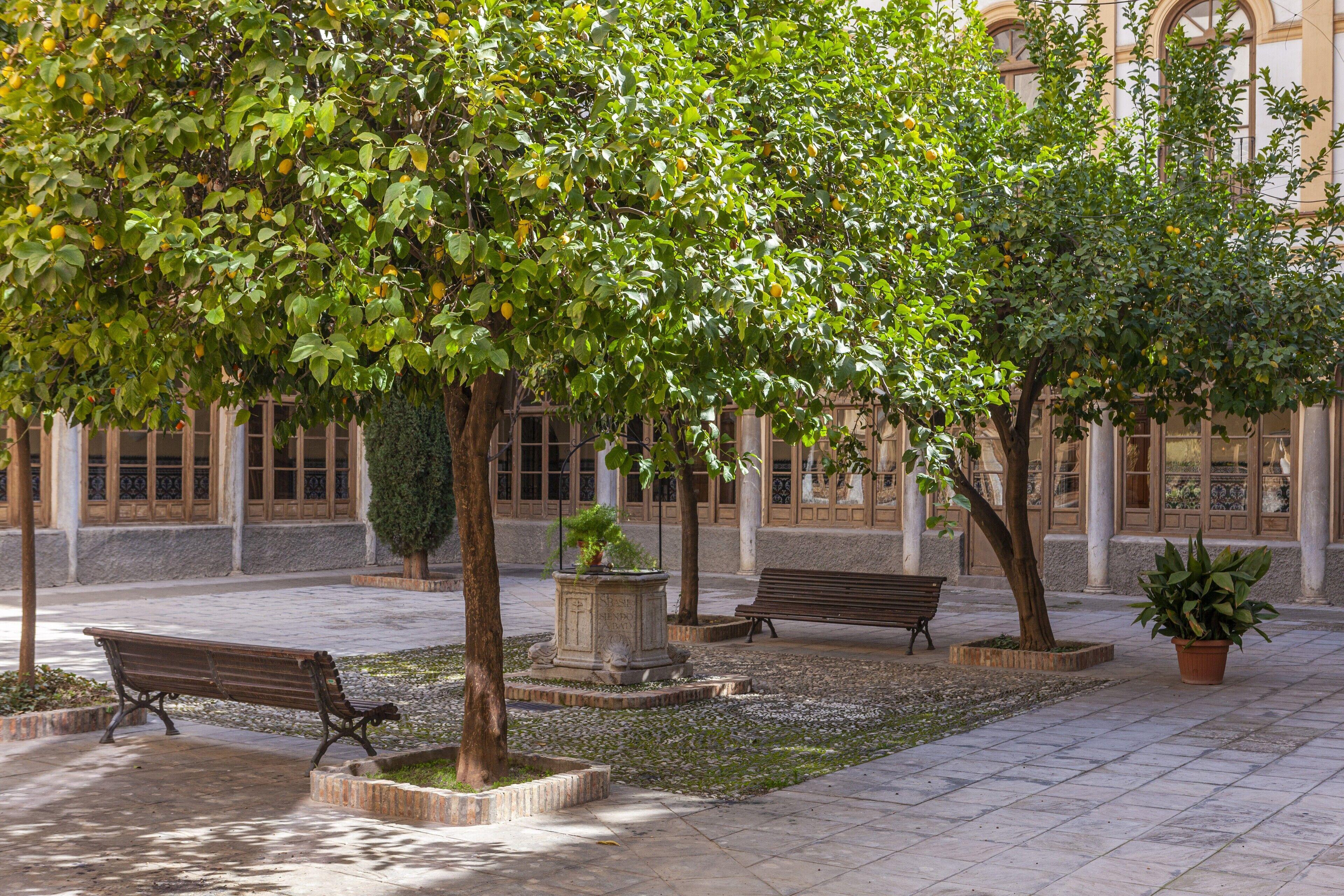 Hotel Macia Monasterio De Los Basilios — Photos 2